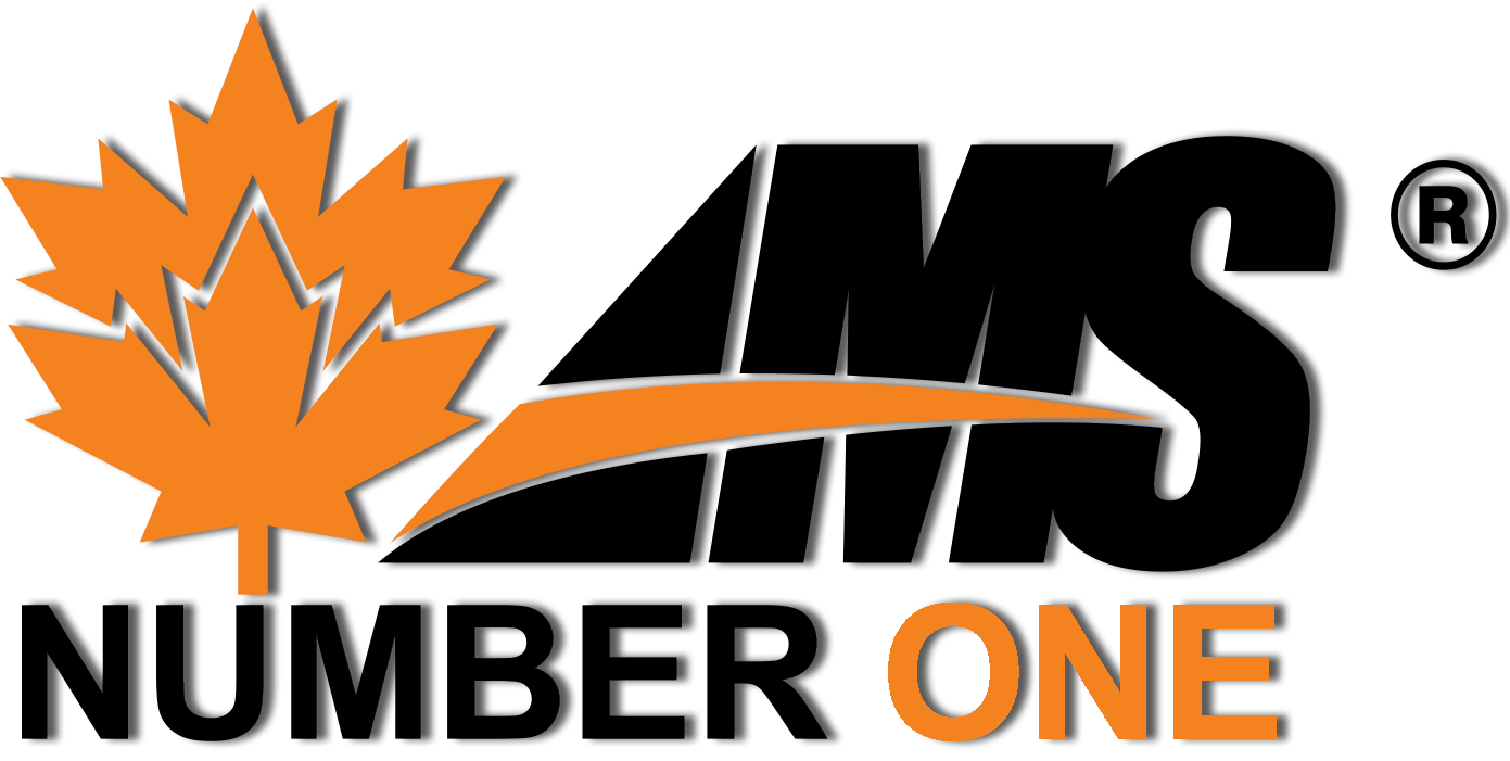 AMS Number One